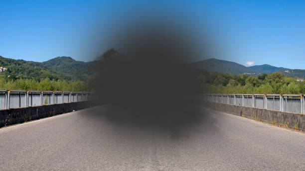 Macular degeneration, loss of sight in central visual zone