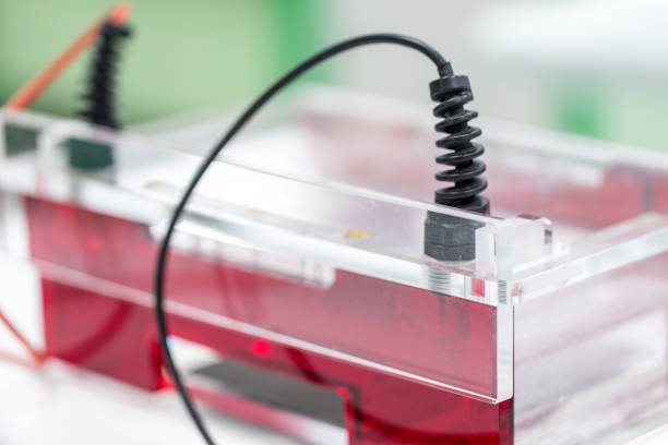 eletroforese em gel de agarose é um método da electroforese do gel usado em bioquímica, biologia molecular, genética e química clínica no laboratório. - dna sequencing gel - fotografias e filmes do acervo