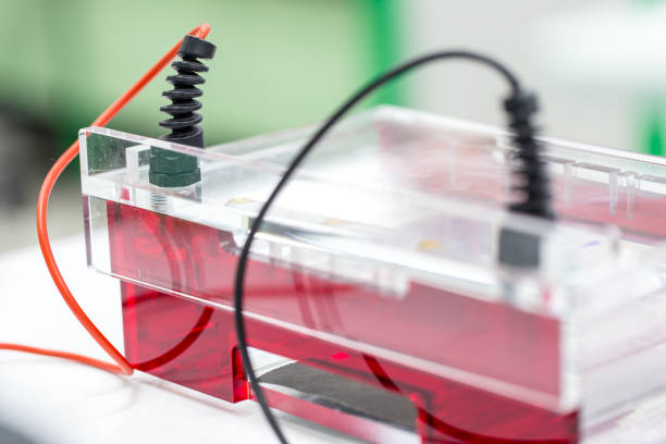 l'elettroforesi del gel di agarosio è un metodo di elettroforesi gel usato in biochimica, biologia molecolare, genetica e chimica clinica in laboratorio. - dna sequencing gel foto e immagini stock