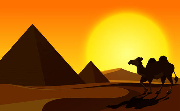 ilustrações de stock, clip art, desenhos animados e ícones de pyramid and camel with desert scene - egypt pyramid cairo camel