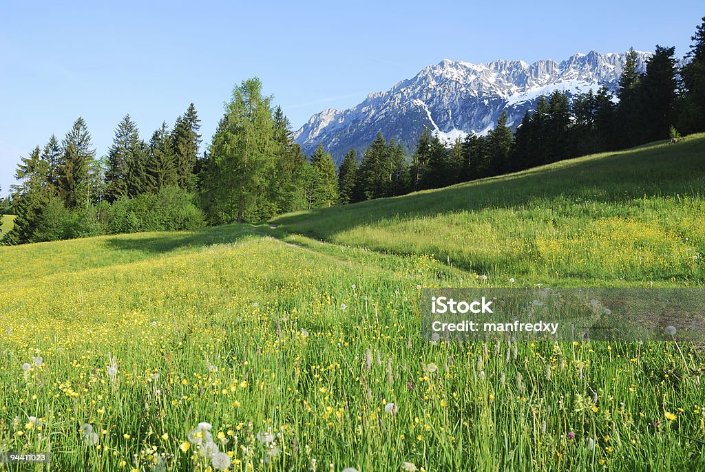 Wilden Kaiser - Lizenzfrei Abgeschiedenheit Stock-Foto