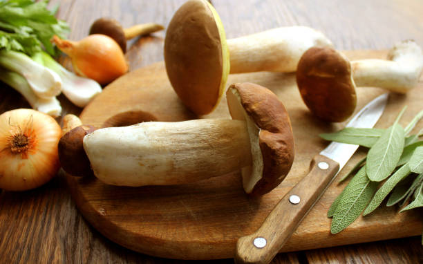 Mushroom boletus on cutting board m Cepe stock pictures, royalty-free photos & images