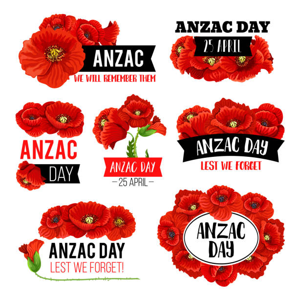Anzac Day poppy flower memorial card design Anzac Day poppy flower memorial card with Lest We Forget message. Red flower of poppy blooming plant for 25 April remembrance anniversary of Australian and New Zealand Army Force oriental poppy stock illustrations