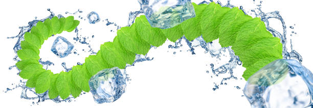istock Swirl mint leaves and ice cubes 944112002