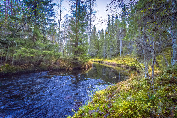 Autumn river view from Kajaani, Finland.