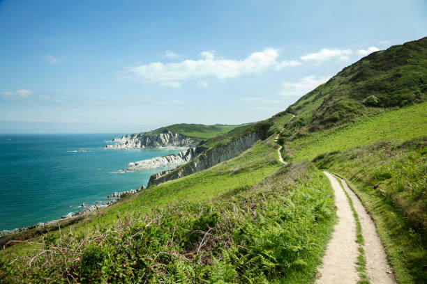 camino costero hacia el sur oeste, mortehoe, devon - landscape scenics beach uk fotografías e imágenes de stock