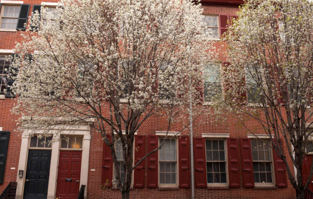 Philadelphia, Pa. USA, April 7, 2018: facade and trees at a Philadelphia row house neighborhood during spring.