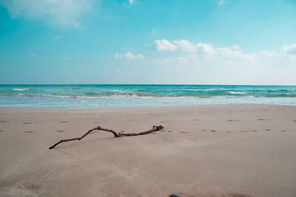 Beach around Shonan in Japan. Shonan is an area located in a little south of Tokyo.