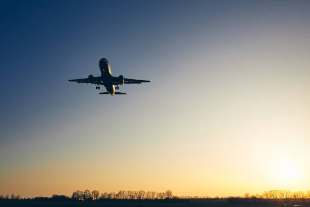 istock Airplane landing at golden sunset 944142254