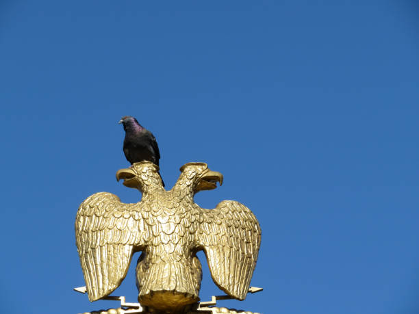 istock Rock pigeon sitting on a sculpture of a Russian eagle 944172926
