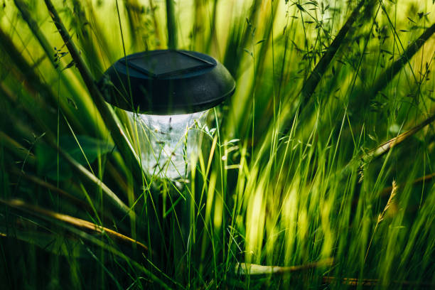 istock Small Solar Garden Light, Lantern In Flower Bed. Garden Design. Solar Powered Lamp 944182558