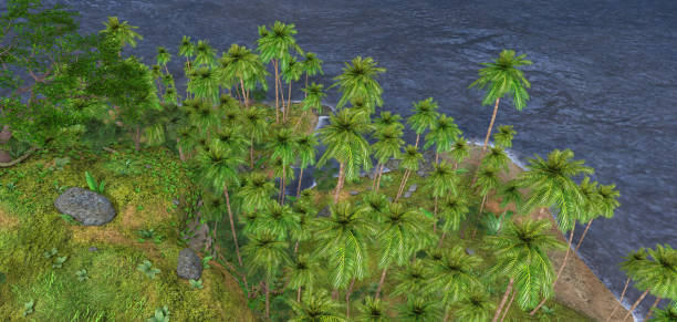 Paradise Island stock photo