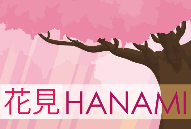 szene von einem kirschbaum und wald blühte in hanami - hannah stock-grafiken, -clipart, -cartoons und -symbole