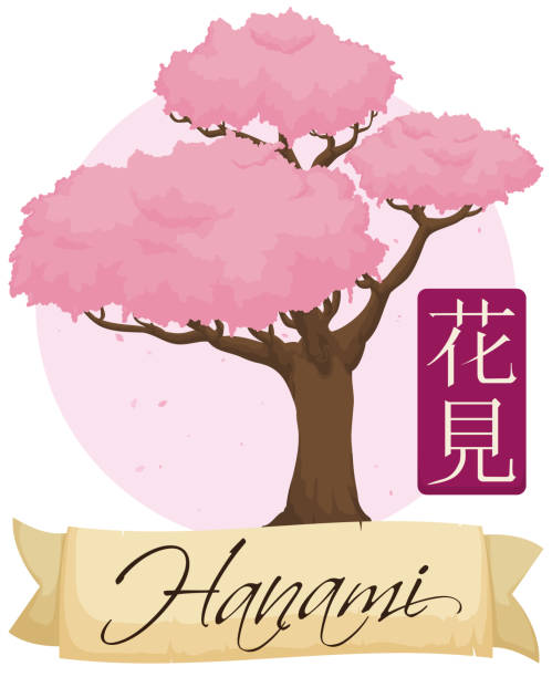 ilustraciones, imágenes clip art, dibujos animados e iconos de stock de hermosa flor cerezo con cinta para evento hanami - hannah