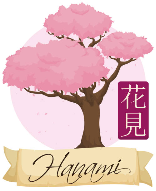 illustrazioni stock, clip art, cartoni animati e icone di tendenza di bellissimo ciliegio in fiore con nastro per l'evento hanami - hannah