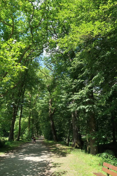 istock Park of Vizille 944200348