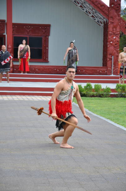 bailarines de tamaki maori en vestido tradicional en el parque termal de whakarewarewa - haka maori tattoo traditional culture fotografías e imágenes de stock