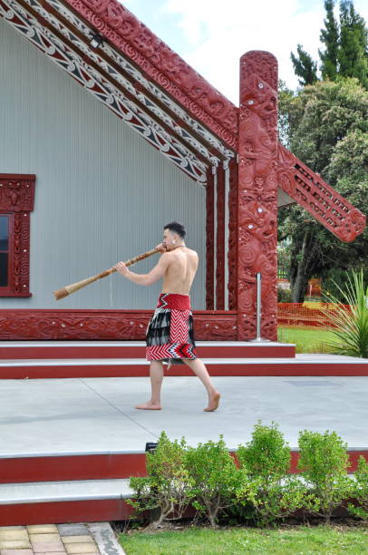 tamaki maori tänzer in tracht in whakarewarewa thermal park - haka maori tattoo traditional culture stock-fotos und bilder