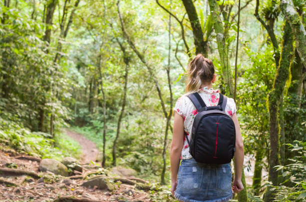 istock Great concept of trail 944222028