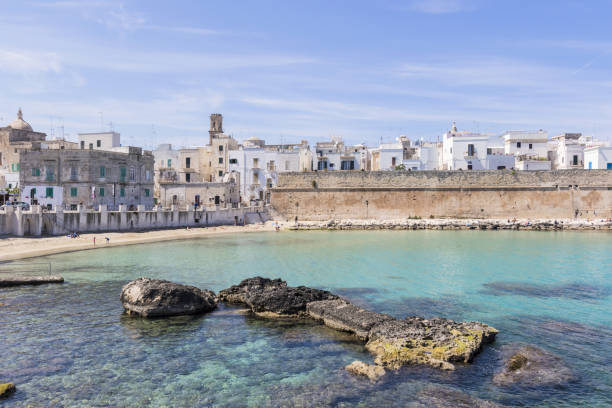 istock Panoramic view of Monopoli italy 944237988