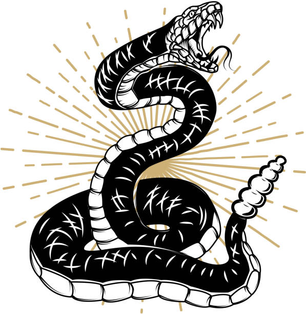 змея иллюстрация изолированы на белом фоне. элемент дизайна для плаката, баннера, футболки. - snake animal reptile anaconda stock illustrations