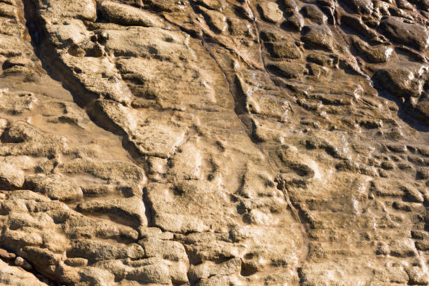 istock Patterns of rock formations at rocky shore or beach 944243184