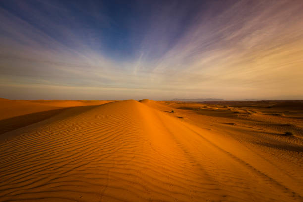 wahiba sands desert in the sultanate of oman beautiful desert dunes sand landscape in the wahiba sands desert in the sultanate of oman. Oman stock pictures, royalty-free photos & images