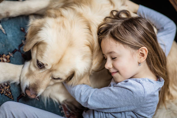 Above view of affectionate girl embracing her golden retriever at home.