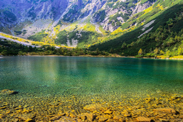 istock Green Lake in High Tatra Mountains, Slovakia 944261076