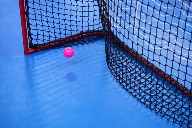 Empty Floorball goal with the balls in the net