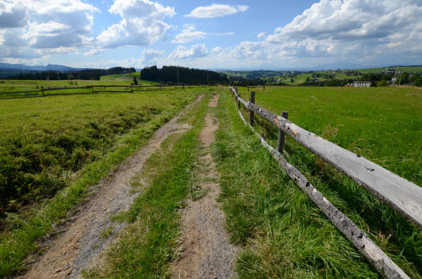 istock Dirt road in the mountains 944270990