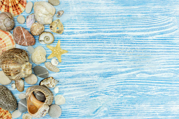 istock marine decoration items on blue painted wooden boards 944274916