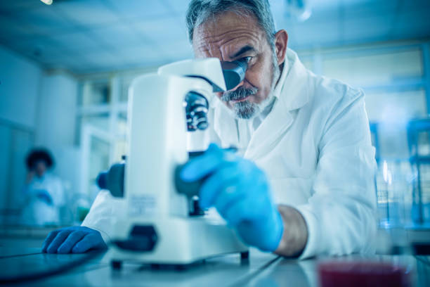 mature forensic scientist looking through microscope while working on research in a laboratory - medical research laboratory microscope genetic research imagens e fotografias de stock