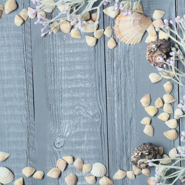 istock blue wooden background with beautiful seashells .copy space for text 944278398
