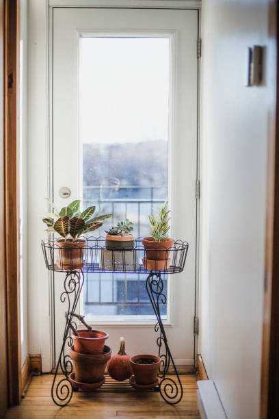 Fake plants in pots are used to decorate cafes.