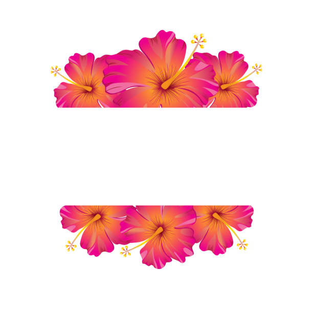 illustrations, cliparts, dessins animés et icônes de modèle de conception tropical avec copie space for text - nature fleur / feuille transparente motif en arrière-plan - fleur tropicale