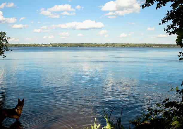 piękny letni krajobraz.  rzeka, niebo i chmury, drzewo i lewy brzeg w oddali. - backdrop horizontal reflection day zdjęcia i obrazy z banku zdjęć