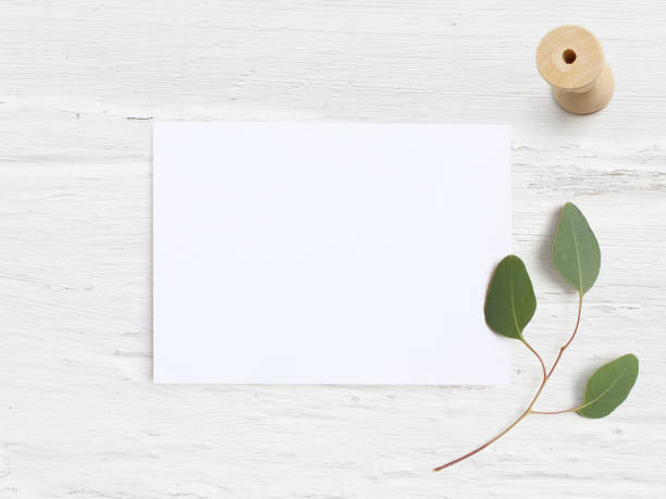 istock Feminine wedding desktop mock-up with blank paper card, wooden spool and Eucalyptus populus branch on white shabby table background. Empty space. Styled stock photo, web banner. Flat lay, top view. 944314360