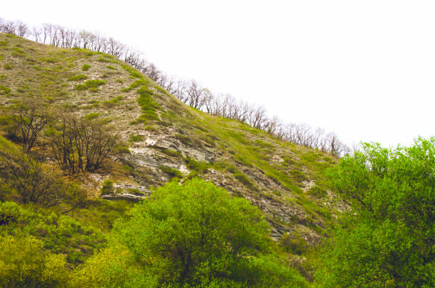 Hills covered with greenery with the exit of stones on the surface