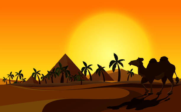 ilustrações de stock, clip art, desenhos animados e ícones de pyramid and camel with desert scene - egypt pyramid cairo camel