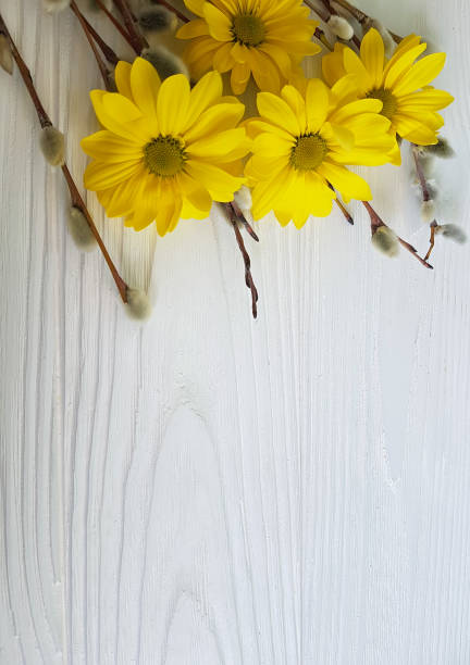 istock willow yellow flowers on a wooden 944334086