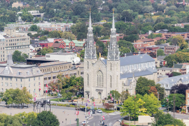 istock Notre-Dame Cathedral in Ottawa (Canada) 944340346