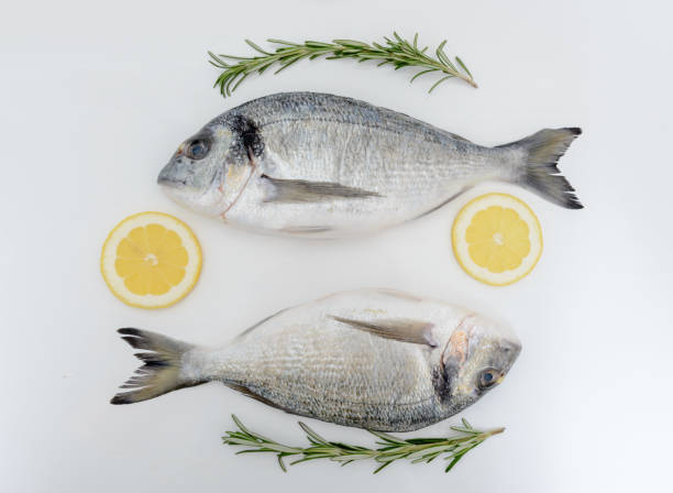 istock Two fresh dorada fishes with lemon and rosemary on white background 944348802