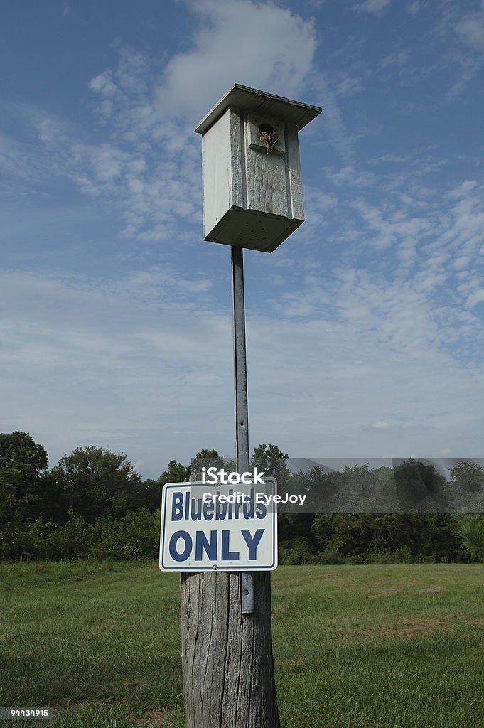 Bluebirds sólo un vecindario segregados - Foto de stock de Aire libre libre de derechos