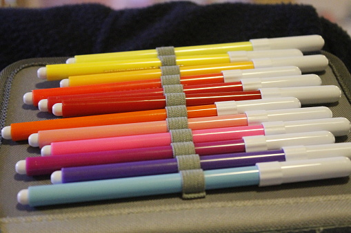 colored brushes in a school case