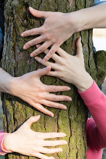 Men's and woman's hands hugging a tree