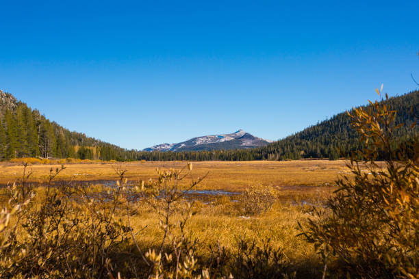 istock Hope Valley, California, United States. 944355142