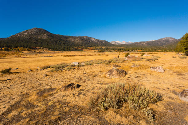 istock Hope Valley, California, United States. 944355748