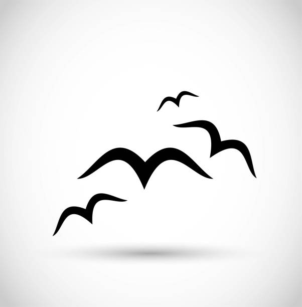 Seagull/ birds icon vector Seagull/ birds icon vector simplistic albatross stock illustrations