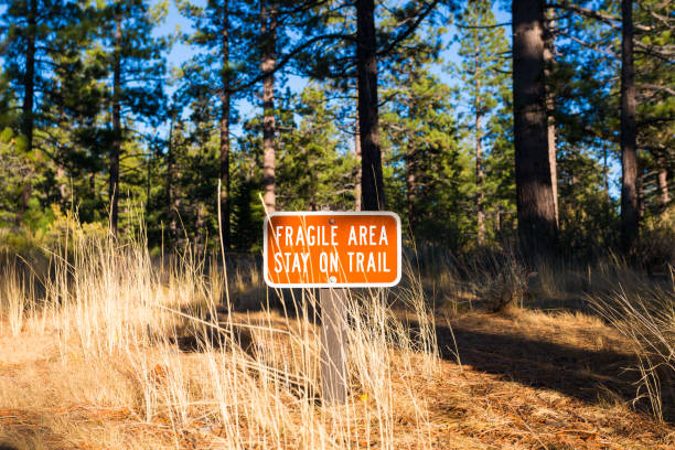 istock Hope Valley, California, United States. 944360588